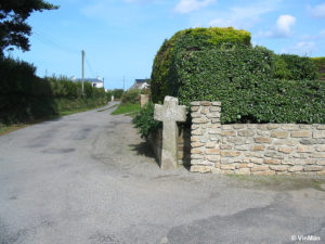 IMG 7705