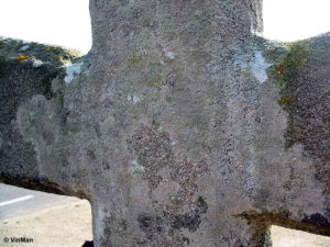 IMG 7707