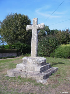 IMG 7708