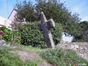 IMG 7709