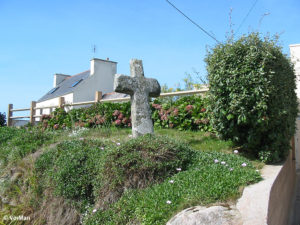 IMG 7710
