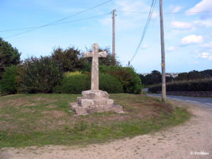 IMG 7710