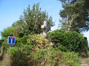 IMG 7711