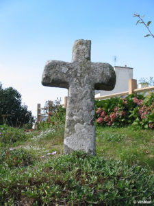 IMG 7711