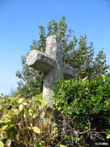 IMG 7712