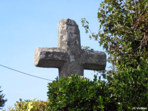 IMG 7713