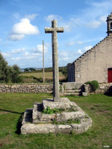 IMG 7716