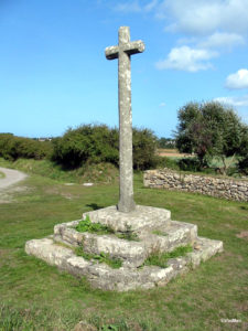 IMG 7717