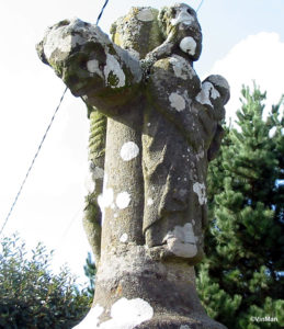 IMG 7725