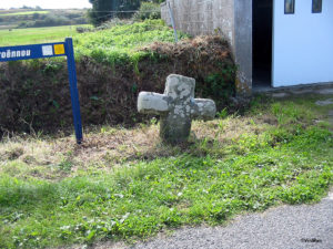 IMG 7772