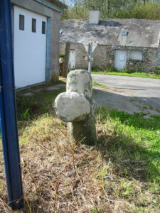 IMG 7777