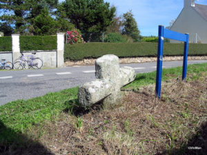 IMG 7778