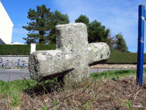IMG 7779