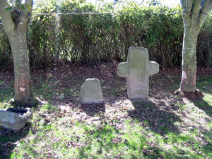 IMG 7783