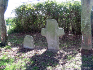 IMG 7785