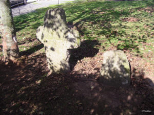 IMG 7786
