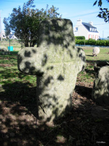 IMG 7788