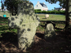 IMG 7789