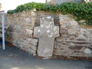 IMG 7799