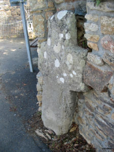 IMG 7802