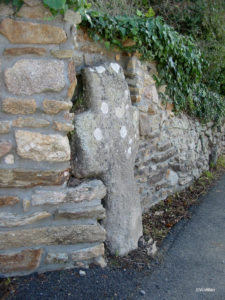 IMG 7803