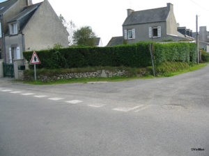 IMG 7808