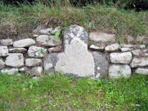 IMG 7811