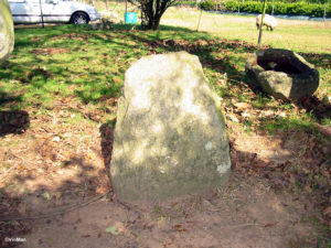 Stele