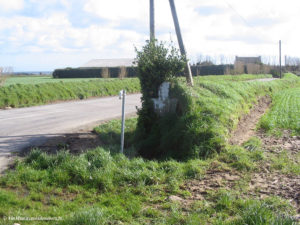 IMG 0071